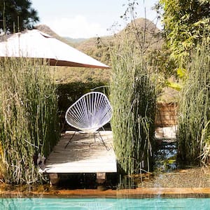 Bamboo surrounding chair and deck