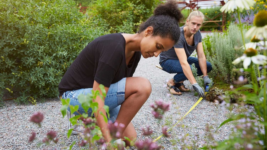 Couple using measuring tape in the yard