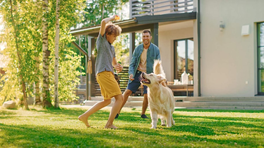 A man, boy, and dog playing in the yard