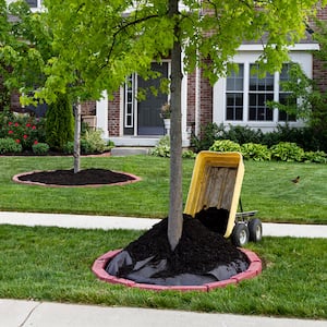 Mulch around tree