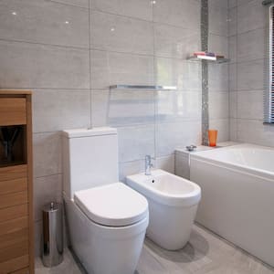 Modern toilet design with handheld spray nozzle