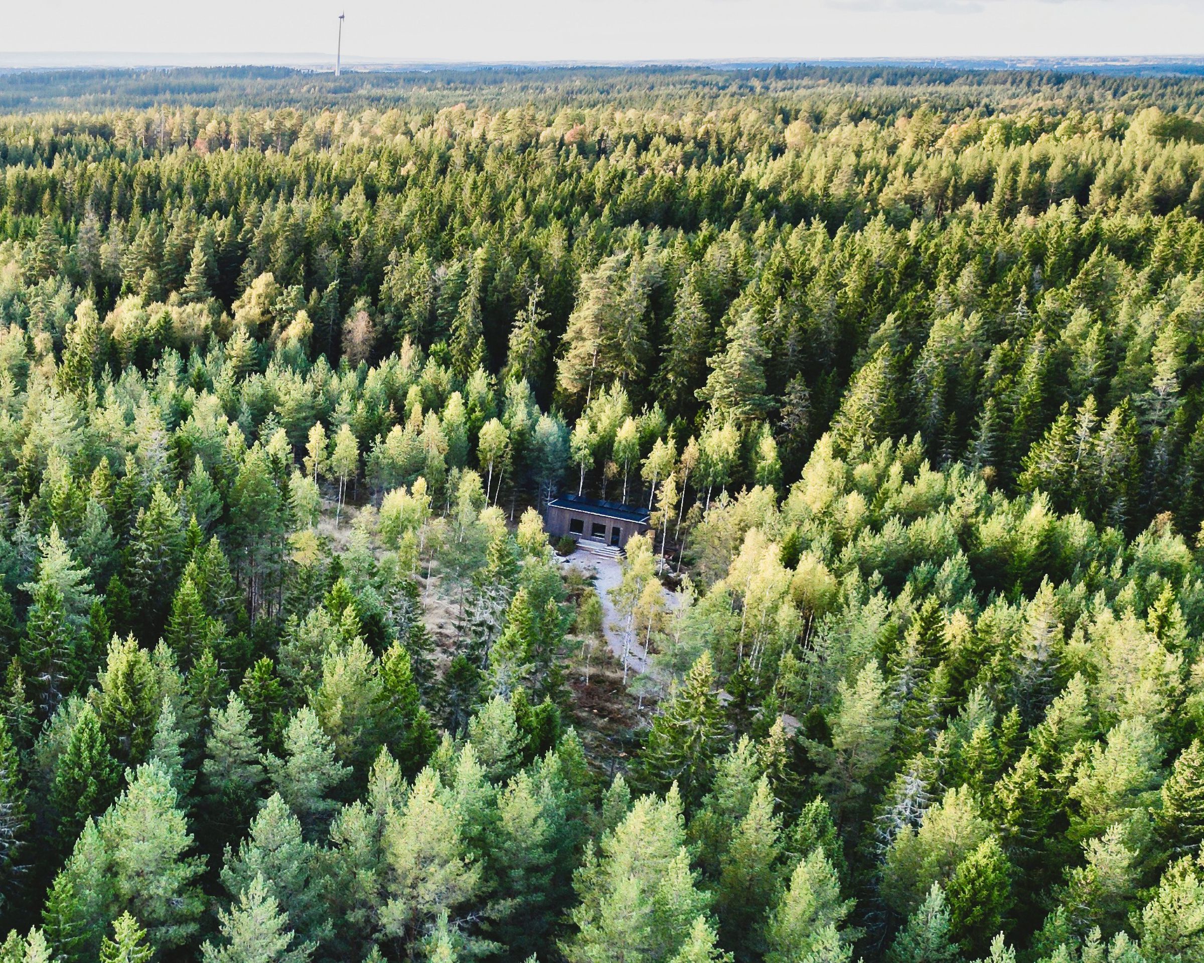 A small cabin is barely visible in a vast expanse of uninterrupted forrest.