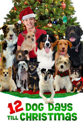 Icon image 12 Dog Days Till Christmas