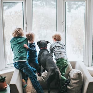 Three kids and a dog looking out a large window