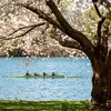 Schuylkill River DCNR