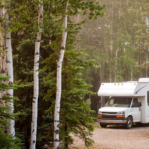 An RV parked in the woods