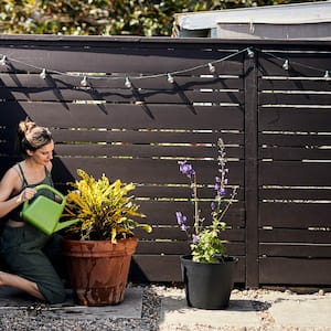 Woman watering potted plant while kneeling by fence at backyard