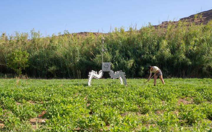 Zu sehen ist eine weite Wiese auf der ein Projekt aufgebaut wurde. Dieses steht auf 3 Stützden und trägt einen Kasten der mit Film Seed beschriftet ist. Eine Frau hakt nebendran den Acker.