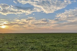 Where land meets the sky and day meets the night.Location: Chitolia, Near the Derai Upazilla, Sunamganj, Sylhet,Bangladesh