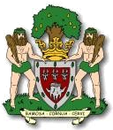 Old Woodstock Town F.C. logo.png