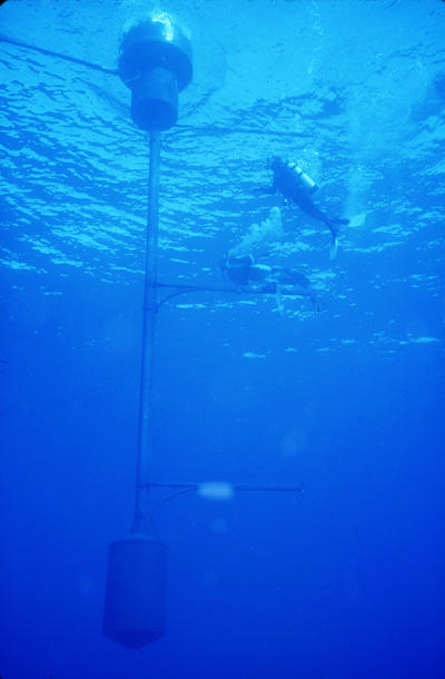 A view from underwater shows the bottom of a buoy with several rods reaching down and to the side, and two divers nearby.