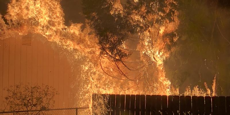 Flames rising from a burning fence are spreading to a tree above and a shed nearby.