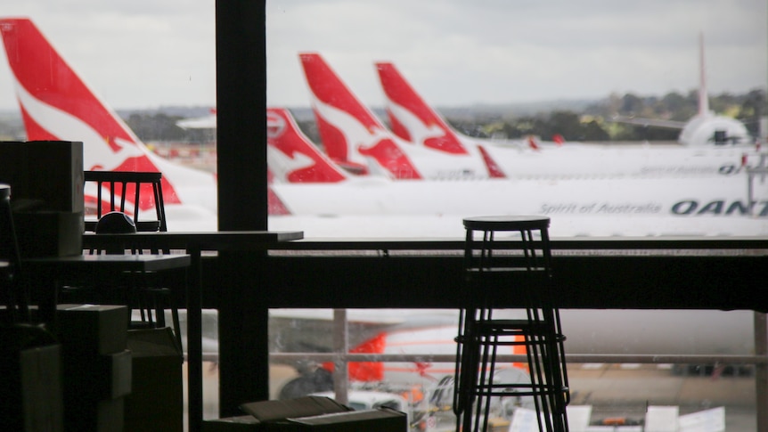 A row of Qantas planes are on the tarmac, viewed from inside an airport terminal where cafe benches are packed away.