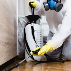 exterminator in work wear spraying pesticide or insecticide with sprayer