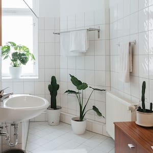 A view of a white tiled bathroom with plants