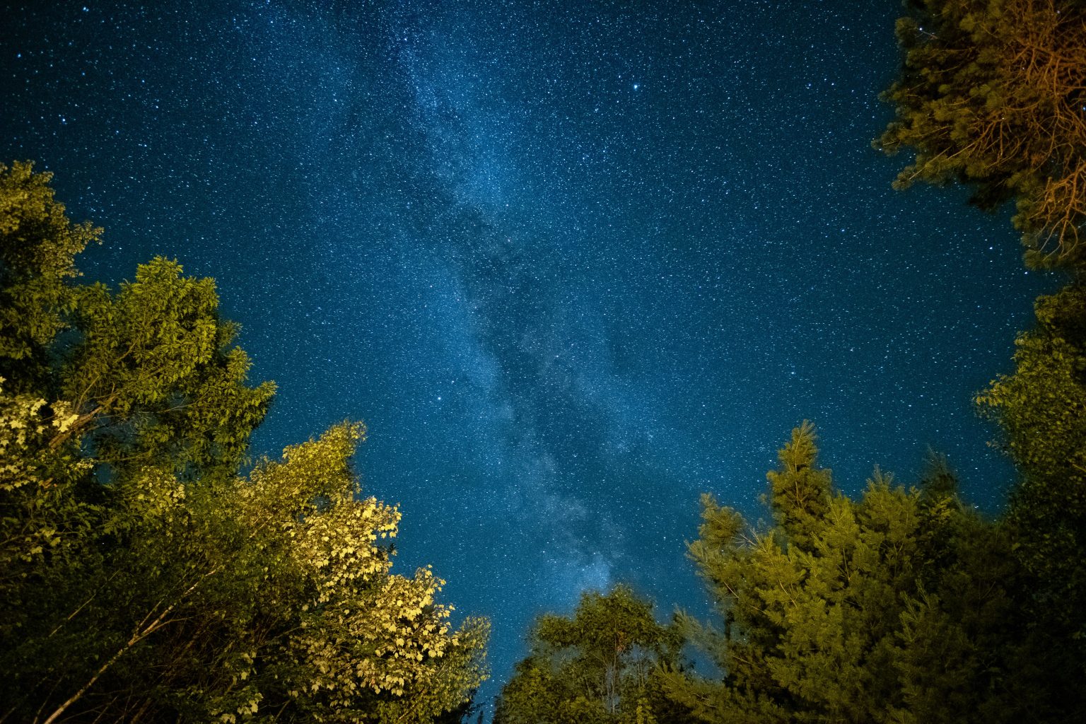 The milky way galaxy shines bright above some trees in the forest. Photo contributed by Jeff Golenski to the WordPress Photo Directory.
