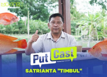 Mina Padi: Kesuksesan Budidaya Ikan Dan Padi Barengan, Hasilkan Banyak Keuntungan!