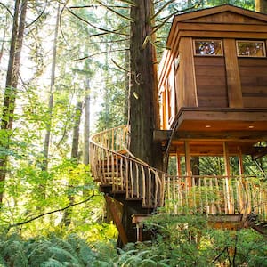 A treehouse with a staircase