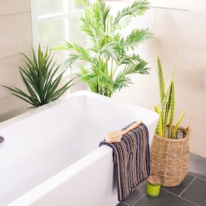 white bathtub with plants around it