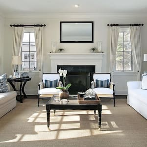 A beautiful living room interior with carpet