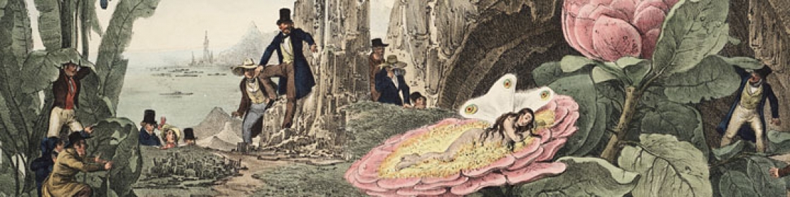 Several people in 19th century clothes explore a forest of giant plants and look upon a female fairy sleeping on a giant flower.