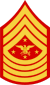 USMC-E9-SEAC.svg