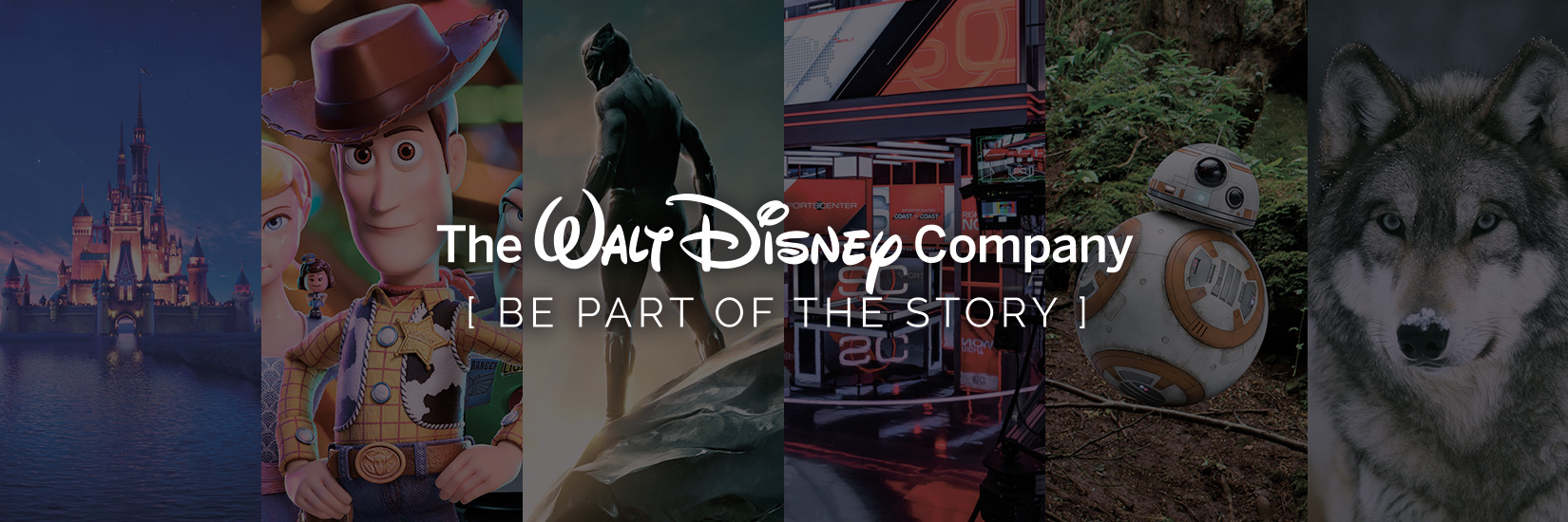 The Walt Disney Company: Be Part of the Story