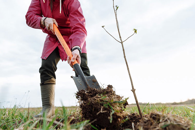 a volunteer shoveling