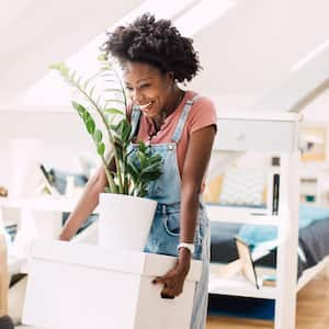 A happy woman holding a box and a plant moving in her new apartment