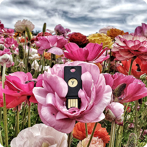 YubiKey in the middle of a pink flower in a field of flowers