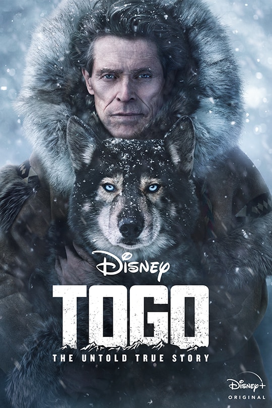 Disney | Togo The Untold True Story | Disney+ Original movie poster