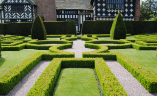 large yard with hedges and shrubs