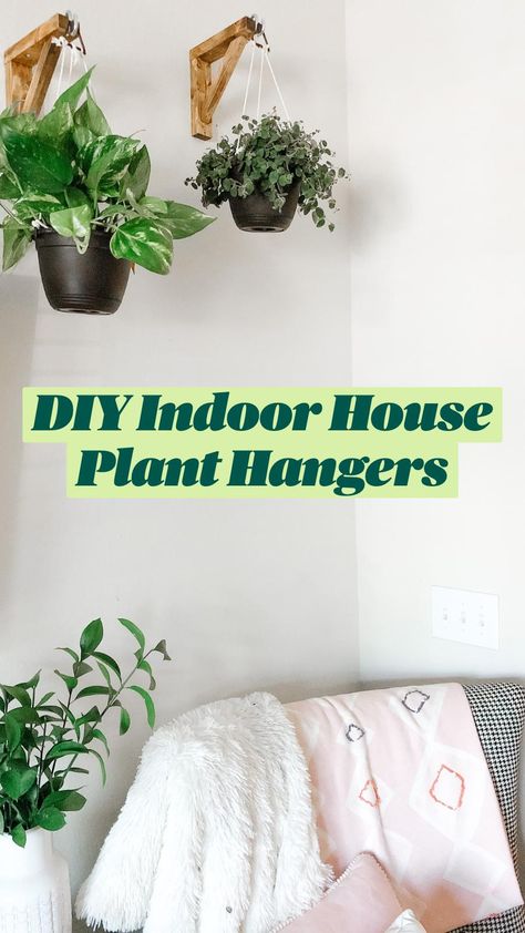 Best Indoor Plants, Plant Decor Indoor, House Plants Decor, House Plants Indoor, Diy Plants, Plants In Bathroom, Indoor Plants Decor Living Room, Hanging Plants Indoor Bedroom, Diy Planters Indoor