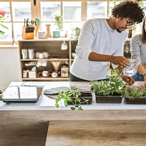 A couple taking care of kitchen herbs