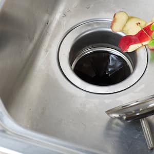 Food scraps next to the sink’s garbage disposal