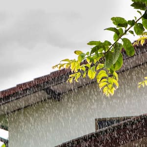 A view of the exterior of a house on a rainy day