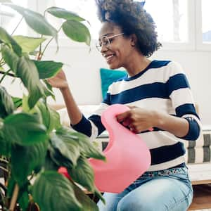 A woman watering her houseplants in the living room