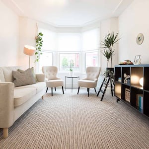 neutral themed living room with carpet 