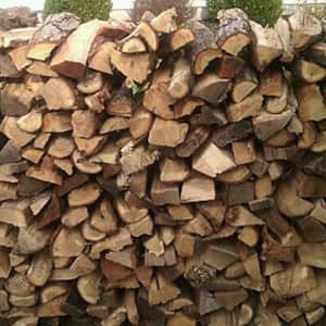 pile of firewood