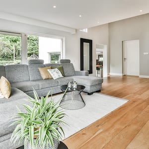 modern grey living room with hardwood floor