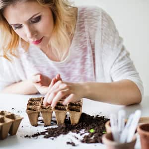 Woman planting seeds in a plug tray at home