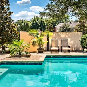 Backyard with a swimming pool