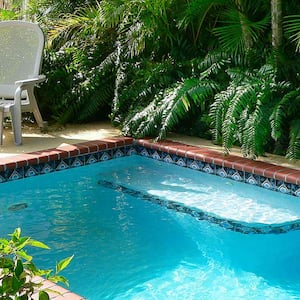 An in-ground plunge pool in a lush backyard