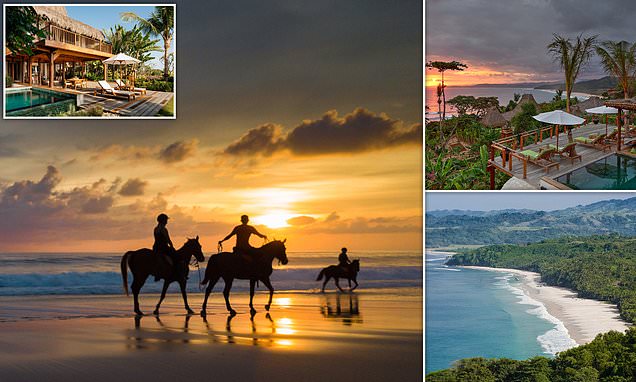 Travelling to idyllic Indonesia to try out a new wellness craze where the therapist is