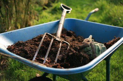 Sistemazione del giardino