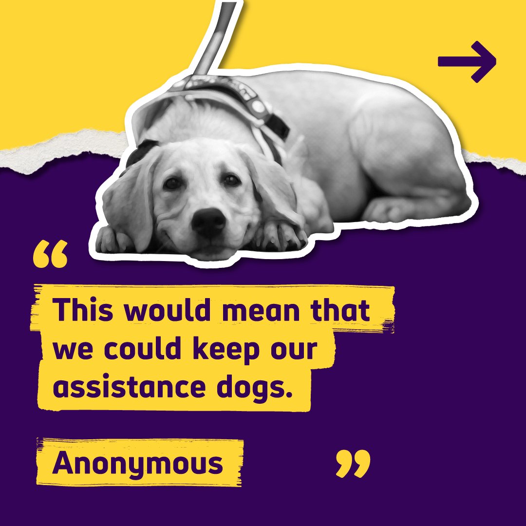 Graphic featuring a photo of an assistance dog and an anonymous quote that reads "This would mean that we could keep our assistance dogs."