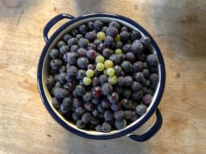 A bowl of grapes
