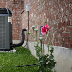 The outside AC unit in a house’s backyard