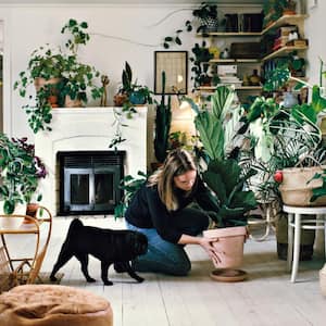 A woman crouching by pug while positioning potted plant on plate