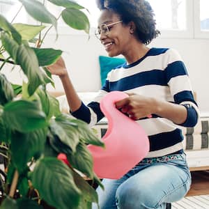 Woman home water plants watering can